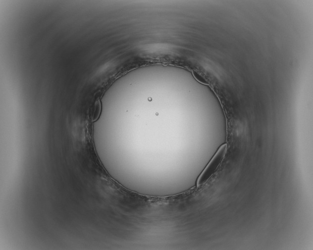 X0000112840965200909041519