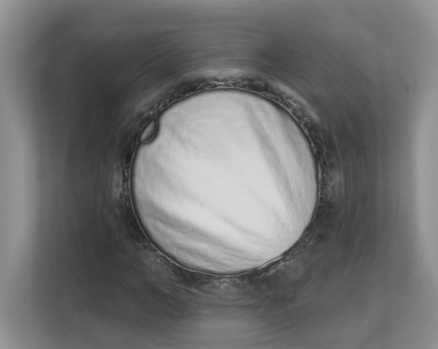 X0000112840966200909041519