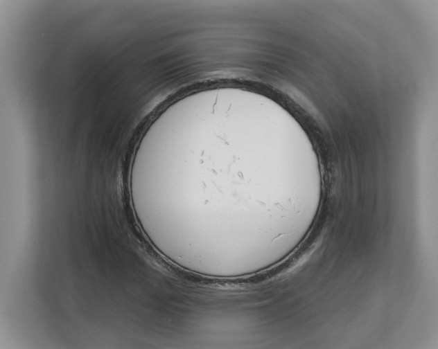 X0000112840969200909041519