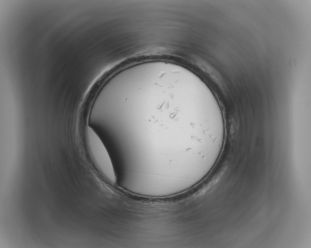 X0000112840973200909041519