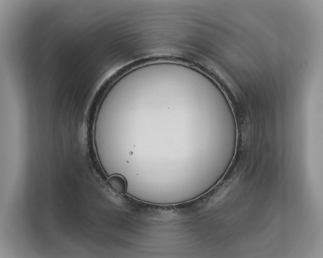 X0000112840975200909041519