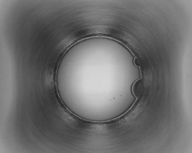 X0000112840977200909041519