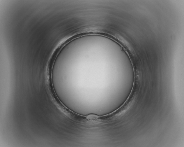 X0000112840981200909041519