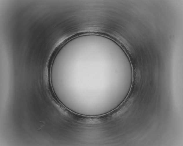 X0000112840982200909041519