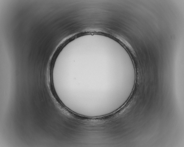 X0000112840984200909041519