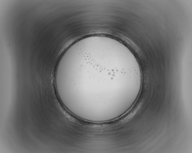 X0000112840985200909041519