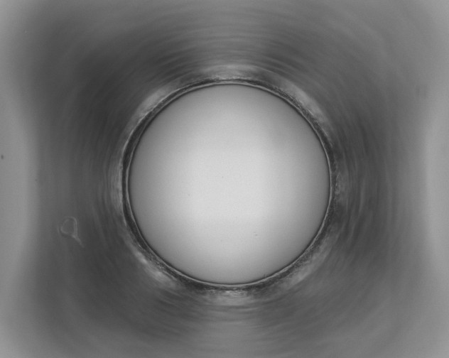 X0000112840986200909041519