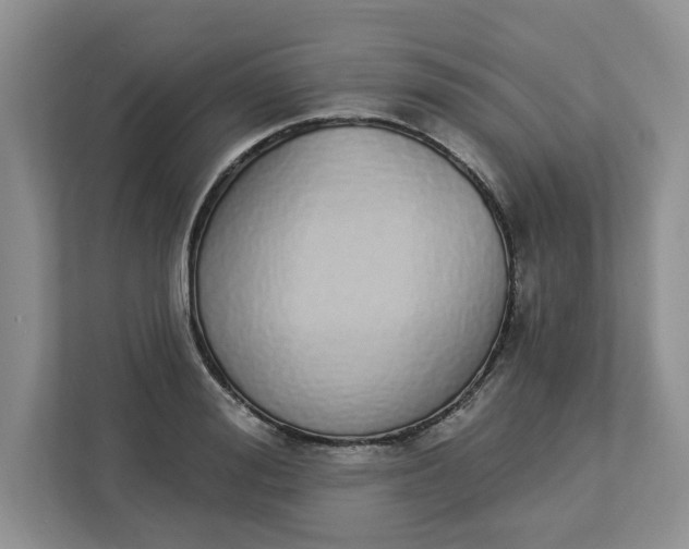 X0000112840988200909041519