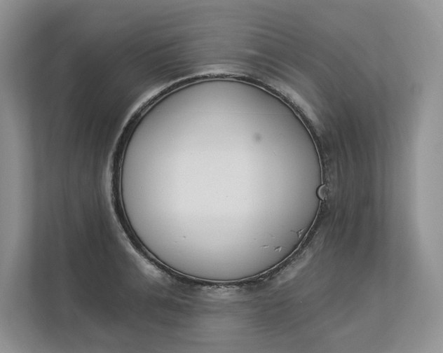 X0000112840991200909041519