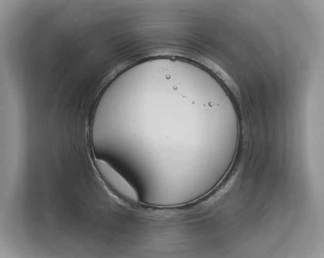 X0000112840993200909041519