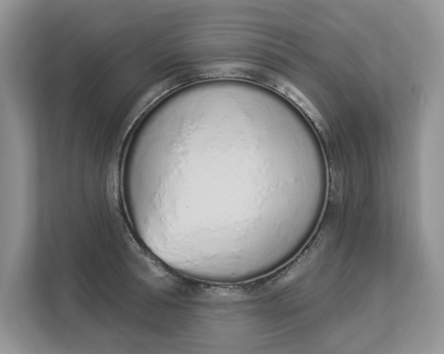 X0000112840994200909041519