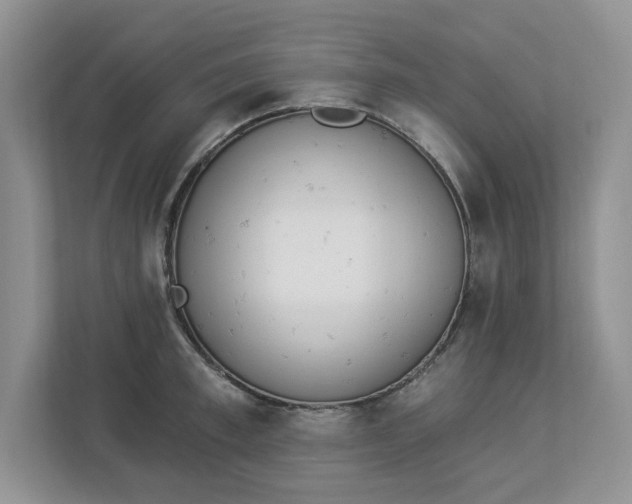 X0000112840997200909041519