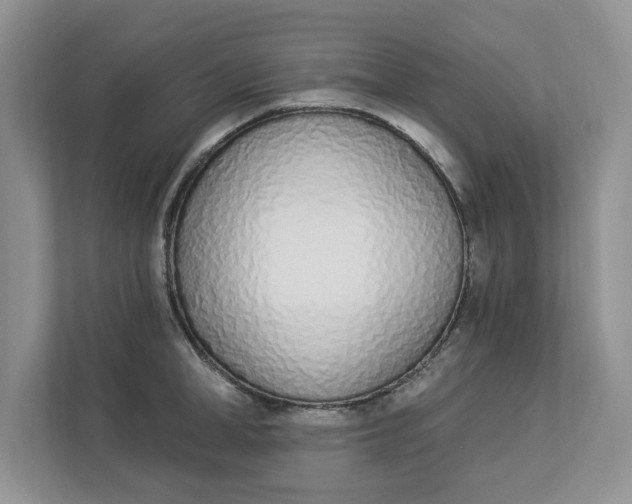 X0000112840998200909041519