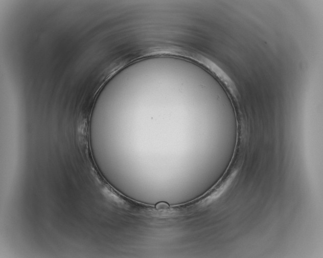 X0000112841001200909041519