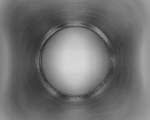 X0000112841002200909041519