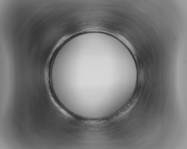 X0000112841005200909041519