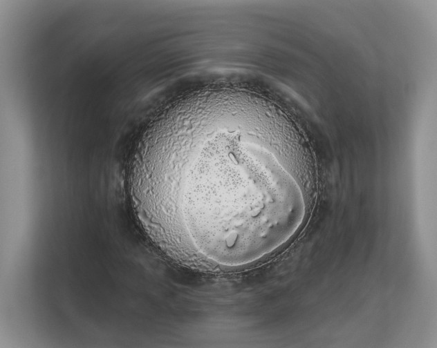 X0000112841013200909041518