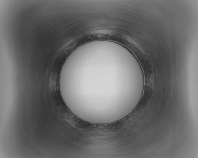 X0000112841014200909041518