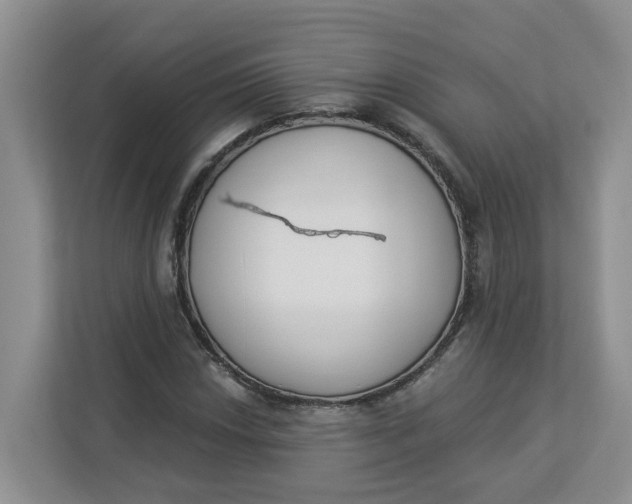 X0000112841018200909041518