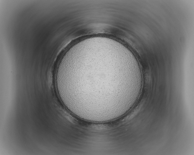 X0000112841023200909041518