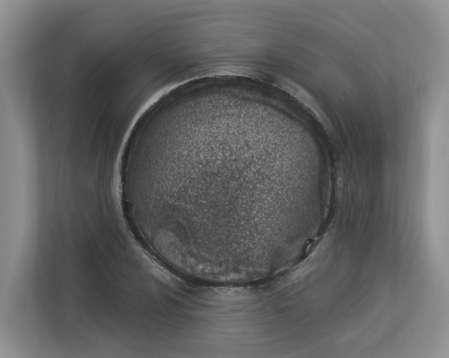 X0000112841024200909041518