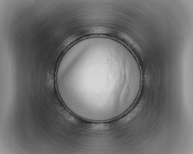 X0000112841025200909041518