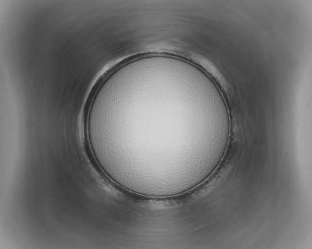 X0000112841032200909041518