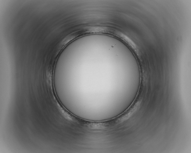 X0000112841041200909041519