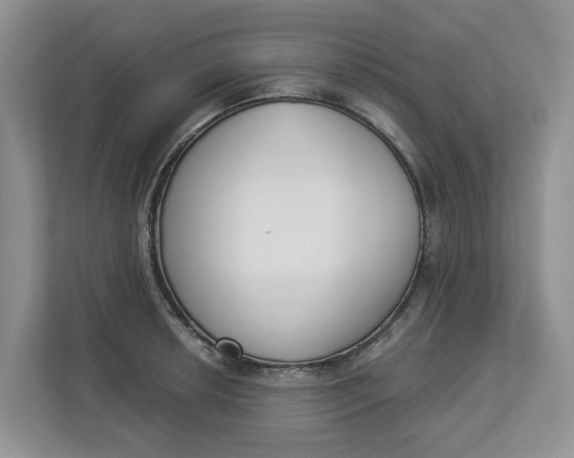 X0000112841042200909041519