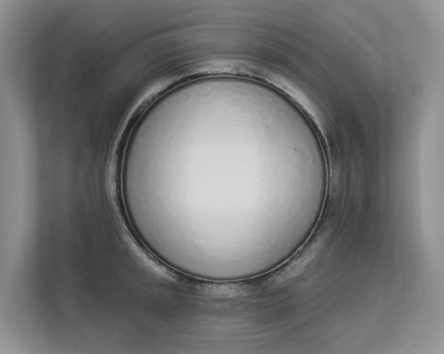 X0000112841045200909041519