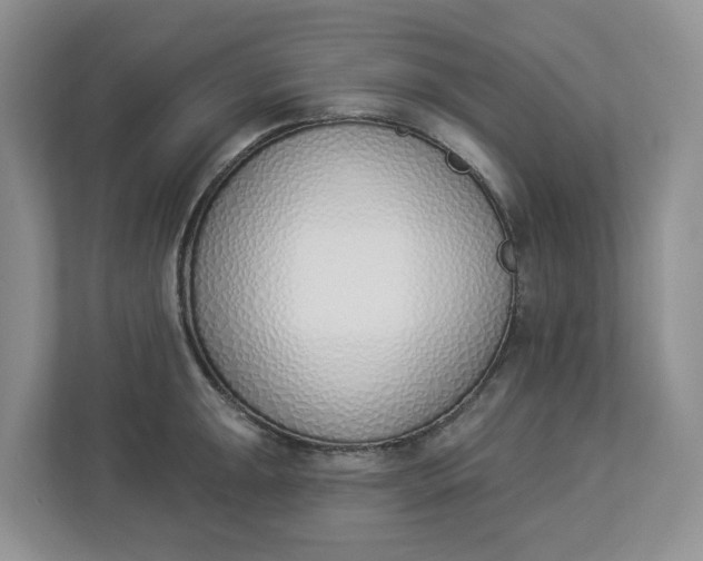 X0000112841047200909041519