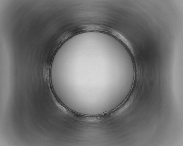 X0000112841049200909041519