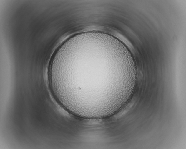 X0000112841055200909041519