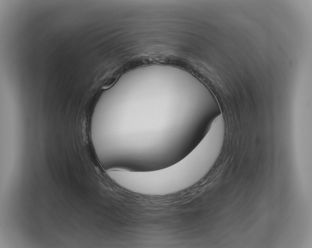 X0000112841060200909041518