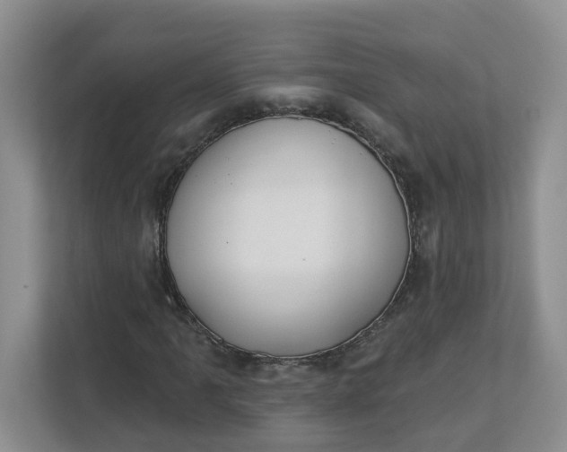 X0000112841061200909041518