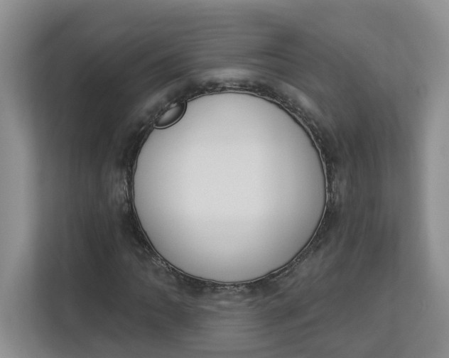 X0000112841062200909041518