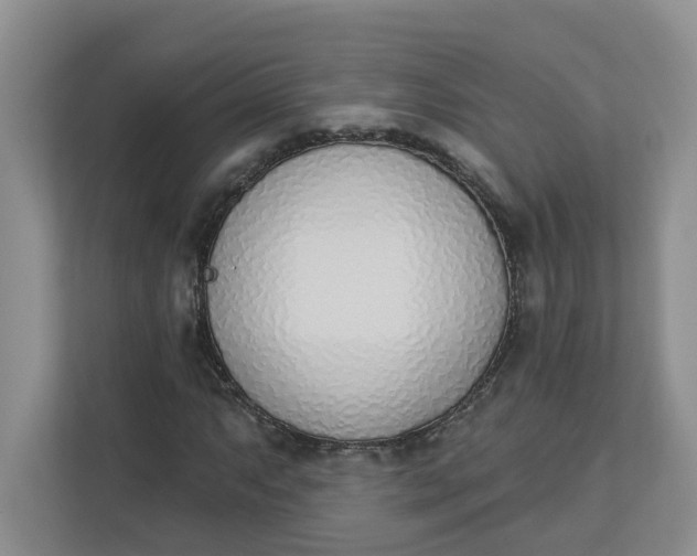 X0000112841063200909041518