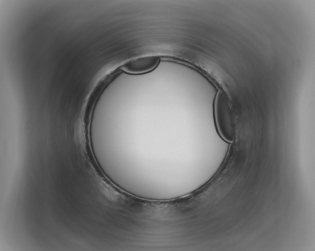 X0000112841072200909041518