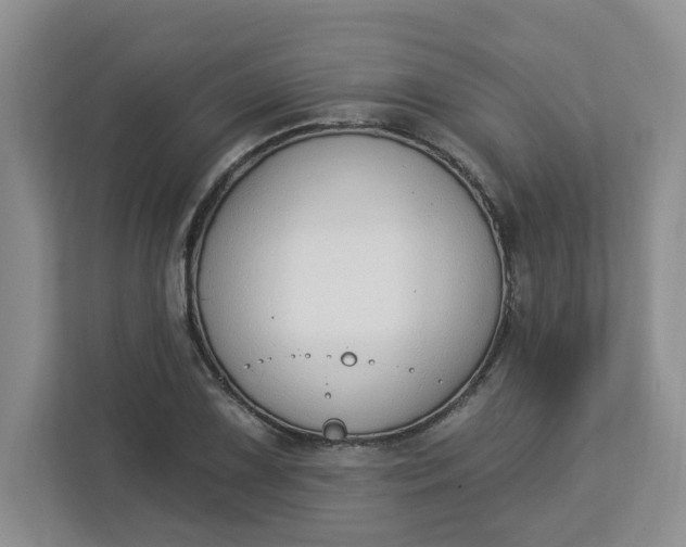 X0000112841075200909041518