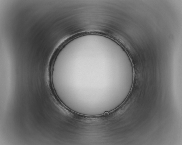 X0000112841076200909041518