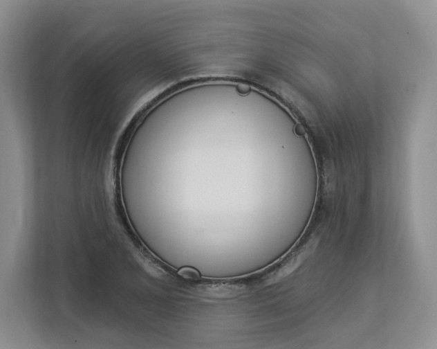 X0000112841077200909041518