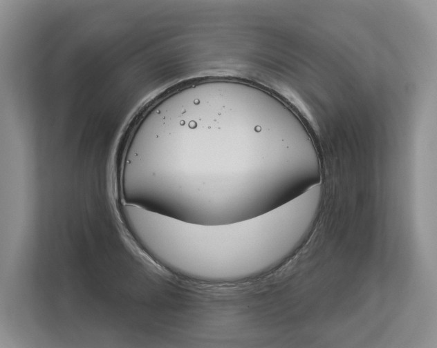 X0000112841080200909041518