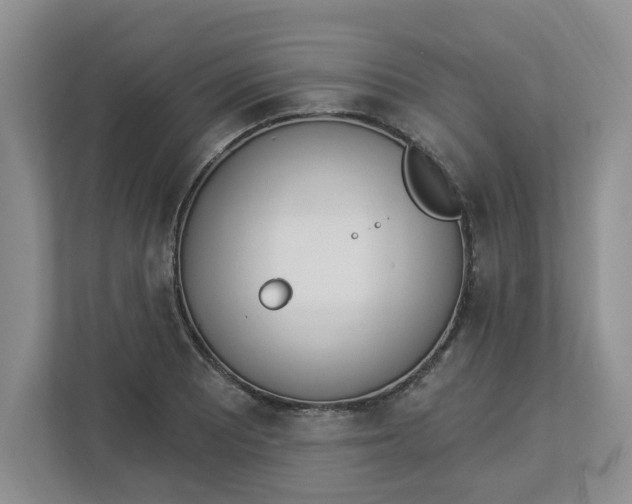 X0000112841081200909041518