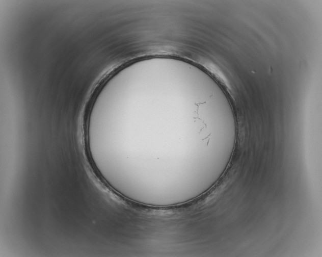 X0000112841088200909041518