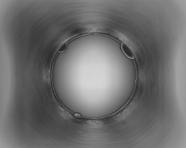 X0000112841089200909041518