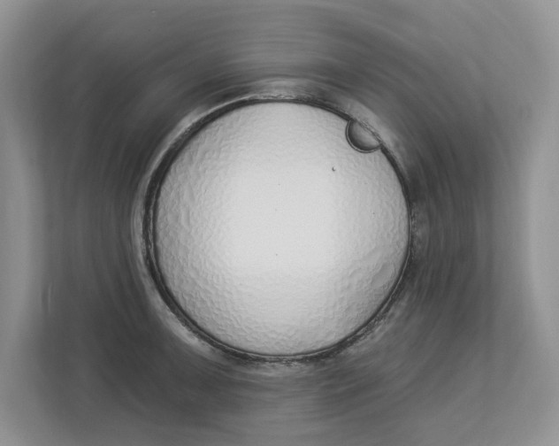 X0000112841091200909041518