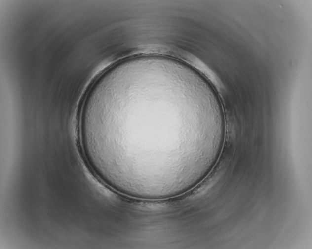 X0000112841095200909041518