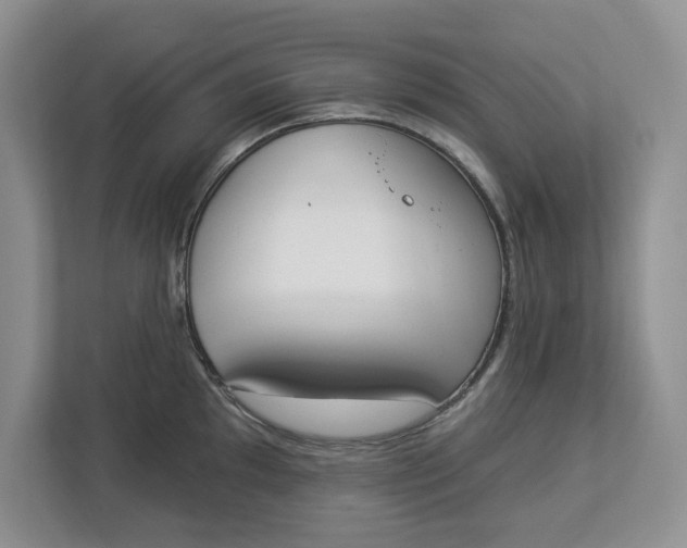 X0000112841097200909041518