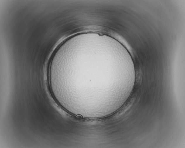 X0000112841099200909041518