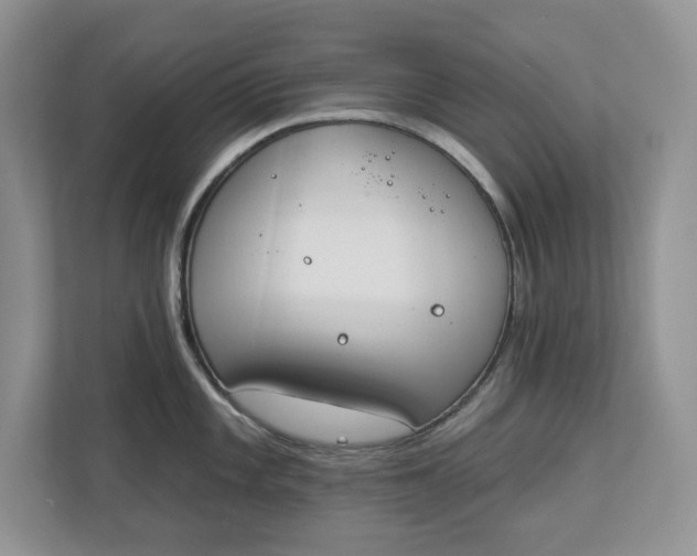 X0000112841101200909041518